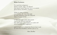 Cyclamen, illustrated poem card